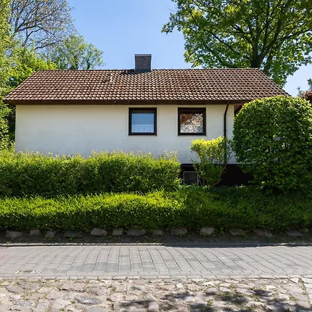 Strandmuschel 라보에